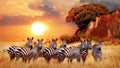 Zebras group in the African savanna against the beautiful sunset. Serengeti National Park. Tanzania.