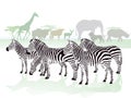 Zebras in the Savanna Royalty Free Stock Photo