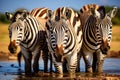 zebras stands side by side in the grassland, showcasing their distinctive black and white striped patterns, A group of zebras