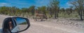 A Zebras stay on the road at the Etosha Pan in Etosha National Park, Namibia Royalty Free Stock Photo