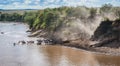 Zebras and wildebeest during migration from Serengeti to Masai M Royalty Free Stock Photo