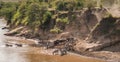 Zebras and wildebeest during migration from Serengeti to Masai M