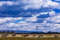 Zebras Wildebeest Rocks Kenyan Landscapes Nature Great Rift Valley Hell\'s Gate National Park Naivasha Nakuru City Royalty Free Stock Photo