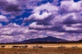 Zebras Wildebeest Rocks Kenyan Landscapes Nature Great Rift Valley Hell\'s Gate National Park Naivasha Nakuru City Royalty Free Stock Photo