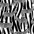 Zebra Seamless Surface Pattern, Black and White Zebras Repeat Pattern for Textile Design, Fabric Printing, Stationary, Packaging,