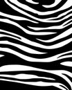 Zebraskin Royalty Free Stock Photo