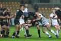 Zebre Rugby vs Ulster Rugby
