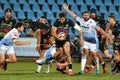 Zebre vs Cardiff Blues