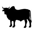 Zebu silhouette Royalty Free Stock Photo