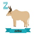 Zebu. Z letter. Cute children animal alphabet in vector. Funny c