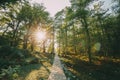 Zeda-gordi, Georgia. View Of Paved Forest Path Leading To Canyon