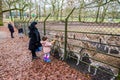 Zeist, Netherlands - January 04, 2020. People feeding fawns in reservation in forest Royalty Free Stock Photo