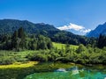 Zelenci lake pond marsh in Slovenia, Julian Alps Royalty Free Stock Photo