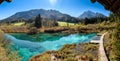 Zelenci lake in Slovenia. Royalty Free Stock Photo