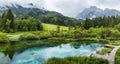 Zelenci pond near Kranjska Gora in Triglav National Park Royalty Free Stock Photo