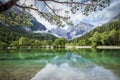 Zelenci pond near Kranjska Gora in Triglav National Park