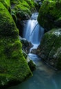 Zeleni vir, small waterfalls in Canyon, Croatia Royalty Free Stock Photo