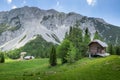 Zelenica pasture above Ljubelj Slovenia