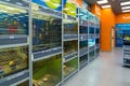 Zelenograd, Russia - September 15. 2017. Birds and fishes in Four paws pet store at mall Panfilov