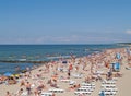 ZELENOGRADSK, RUSSIA. The populous beach on the bank of the Baltic Sea