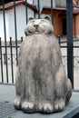 ZELENOGRADSK, RUSSIA. Sculpture of a cat, close up