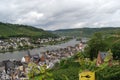 Zell Mosel & vineyards Royalty Free Stock Photo