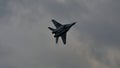 MiG-29 of Polish Air Force in flight