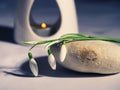 Zen aromatherapy oil burner with snowdrop flowers Royalty Free Stock Photo