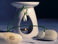 Zen aromatherapy oil burner with snowdrop flowers Royalty Free Stock Photo