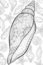 Adult coloring book,page a cute shell image for relaxing.