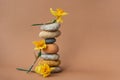 Zen balance pyramid of stones and flowers of narcissus Royalty Free Stock Photo