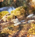 Zen balance stone in nature Royalty Free Stock Photo