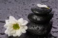 Zen, balance stones Royalty Free Stock Photo