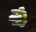 Zen-balanced stones with Everlasting flowers on a black background, the concept of peace and quiet