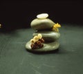 Stones with small flowers on a black background, the concept of peace, tranquillity, and quiet