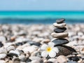 Zen balanced stones stack with plumeria flower Royalty Free Stock Photo