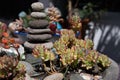 zen basalt pebble stone pyramid and succulent plants. perfect floral decoration.