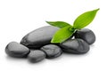 Zen stones and bamboo on the white Royalty Free Stock Photo