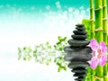 Zen basalt stones with green bamboo on water. Spa and Wellness concept. Royalty Free Stock Photo