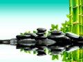 Zen basalt stones with green bamboo on water. Spa and Wellness concept. Royalty Free Stock Photo