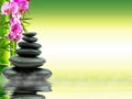 Zen basalt stones with green bamboo on water. Spa and Wellness concept. Royalty Free Stock Photo