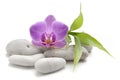 Zen basalt stones ,orchid and bamboo Royalty Free Stock Photo