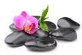 Zen basalt stones ,orchid and bamboo