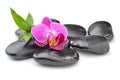 Zen basalt stones ,orchid and bamboo