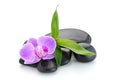 Zen basalt stones ,orchid and bamboo Royalty Free Stock Photo