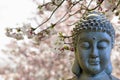 Zen Buddha Meditating Under Cherry Blossom Trees Royalty Free Stock Photo