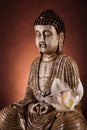 Zen buddha statue, vivid colors, natural tone Royalty Free Stock Photo