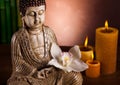 Zen buddha statue, vivid colors, natural tone Royalty Free Stock Photo