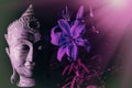 Zen Concept - Buddha face in mindful meditation with flower