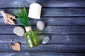 Zen concept, spa pebbles stones shells on a wooden background, aromatherapy and massage treatment, copy space for text Royalty Free Stock Photo